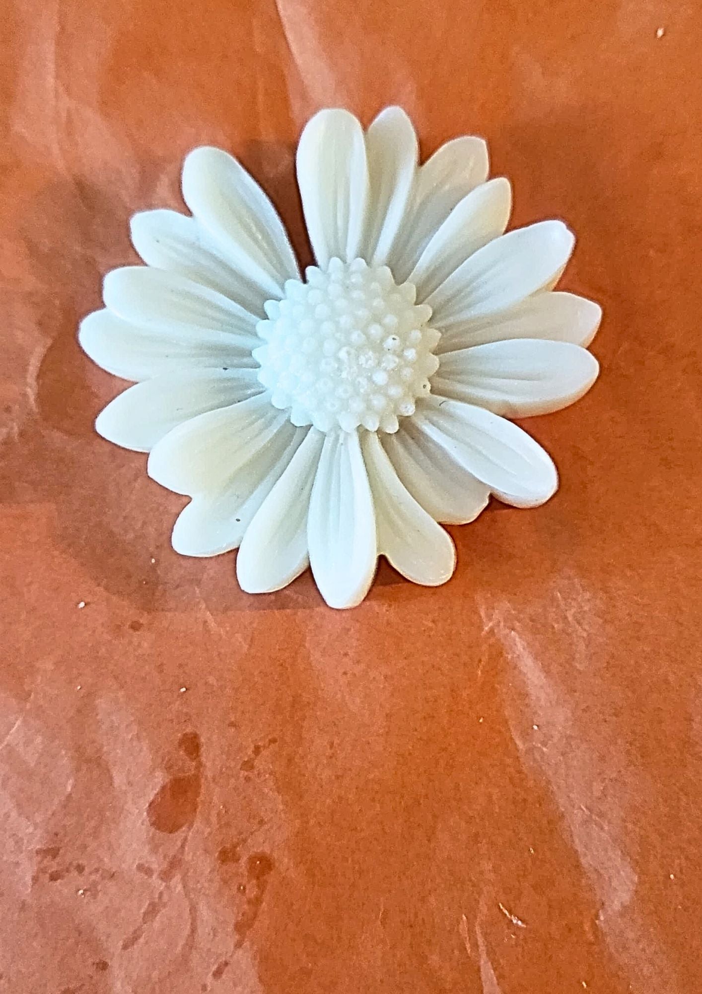 Fleurs de tournesol