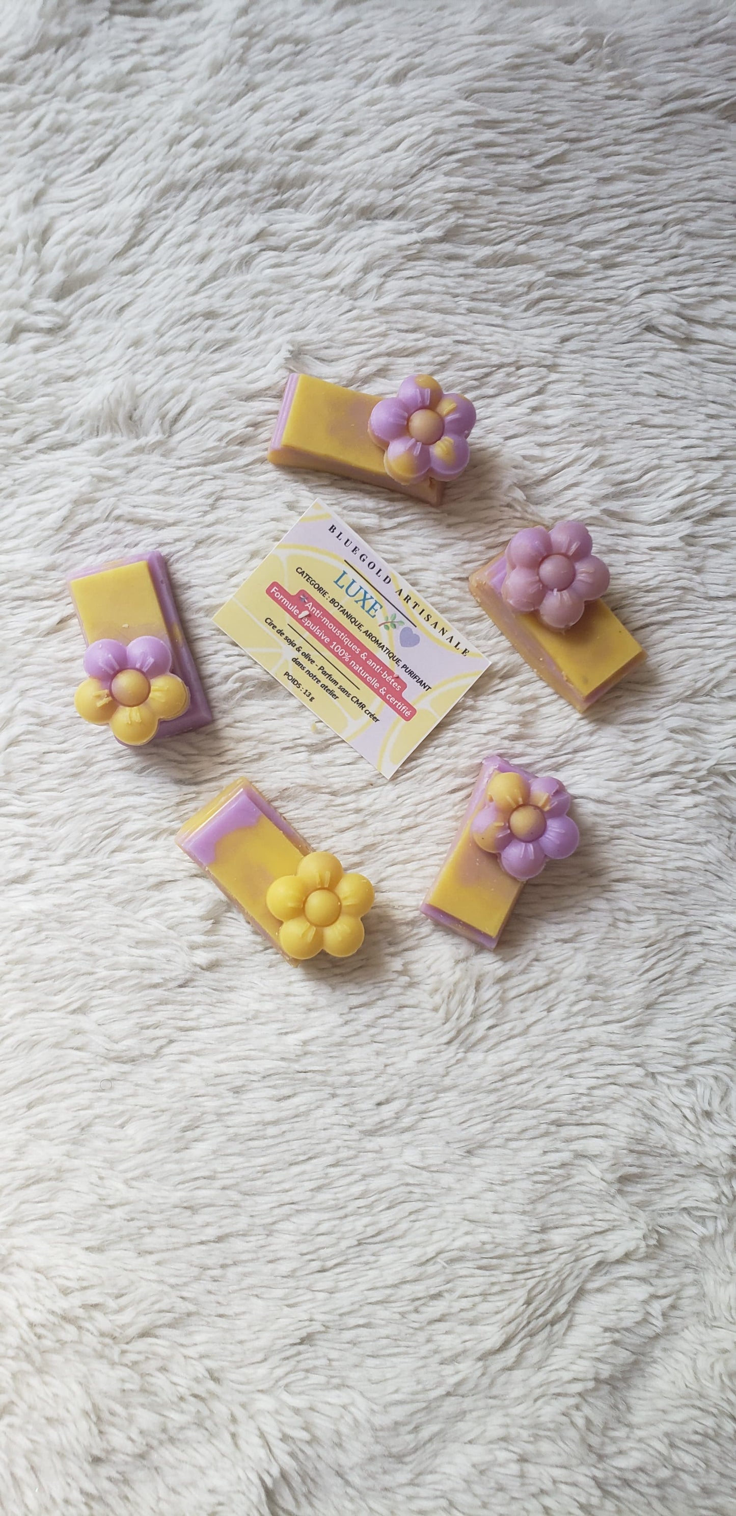 Aventure Mystère - Fondants aux parfums "créateur"
