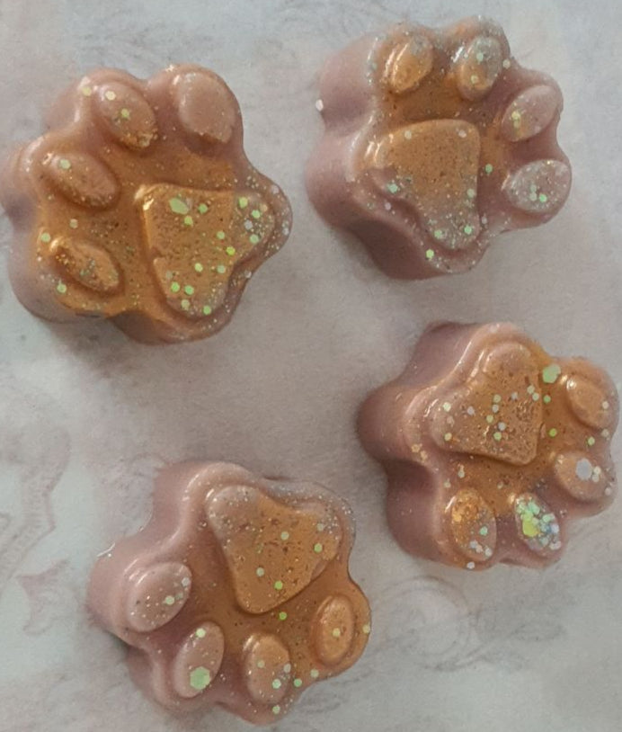 Petite pattes de chat