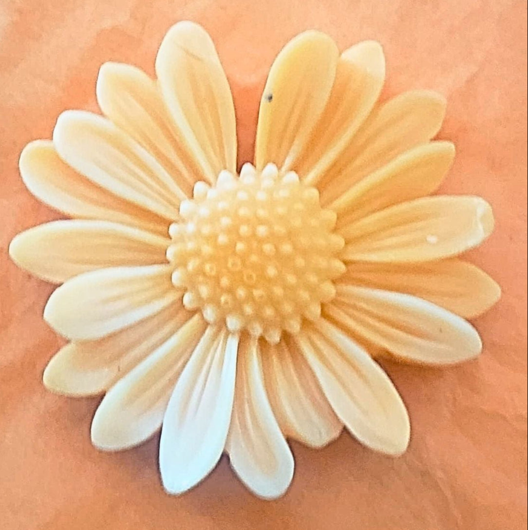 Fleurs de tournesol