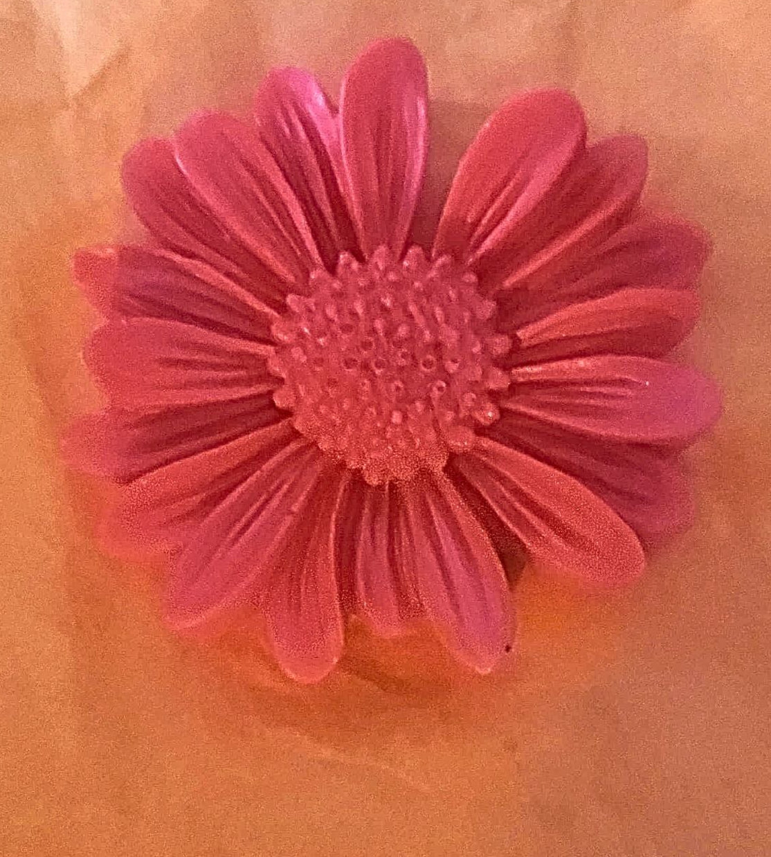 Fleurs de tournesol