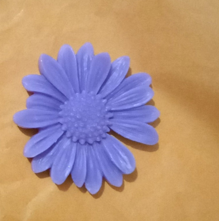 Fleurs de tournesol